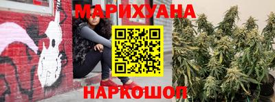 сатива Обнинск