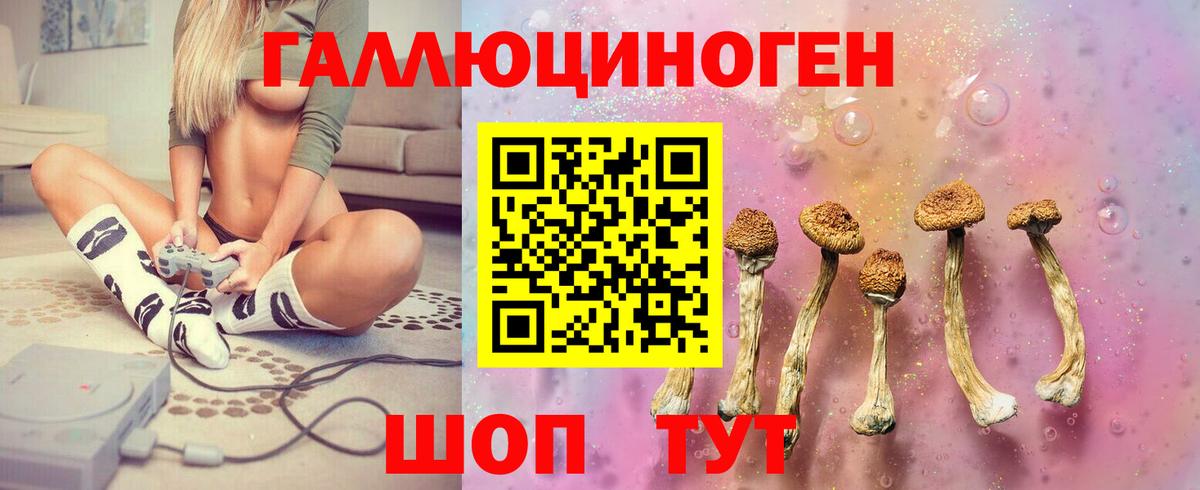 Россошь  Псилоцибиновые грибы мицелий  Вход с VPN 