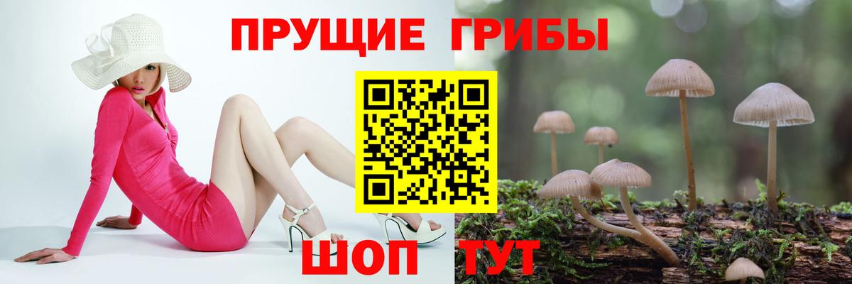 Гашиш Россошь